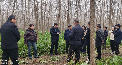 124251754.png 阳1.png