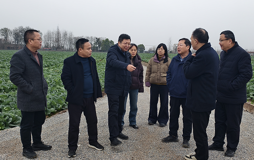 124313769.png 阳2.png