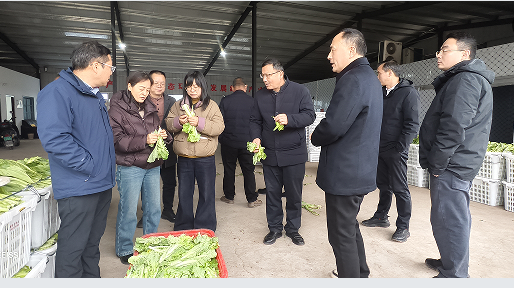 124346139.png 阳3.png