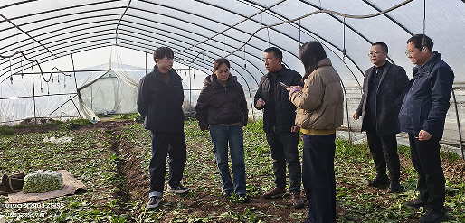 124421151.png 阳4.png